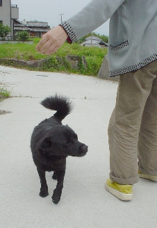 NRR